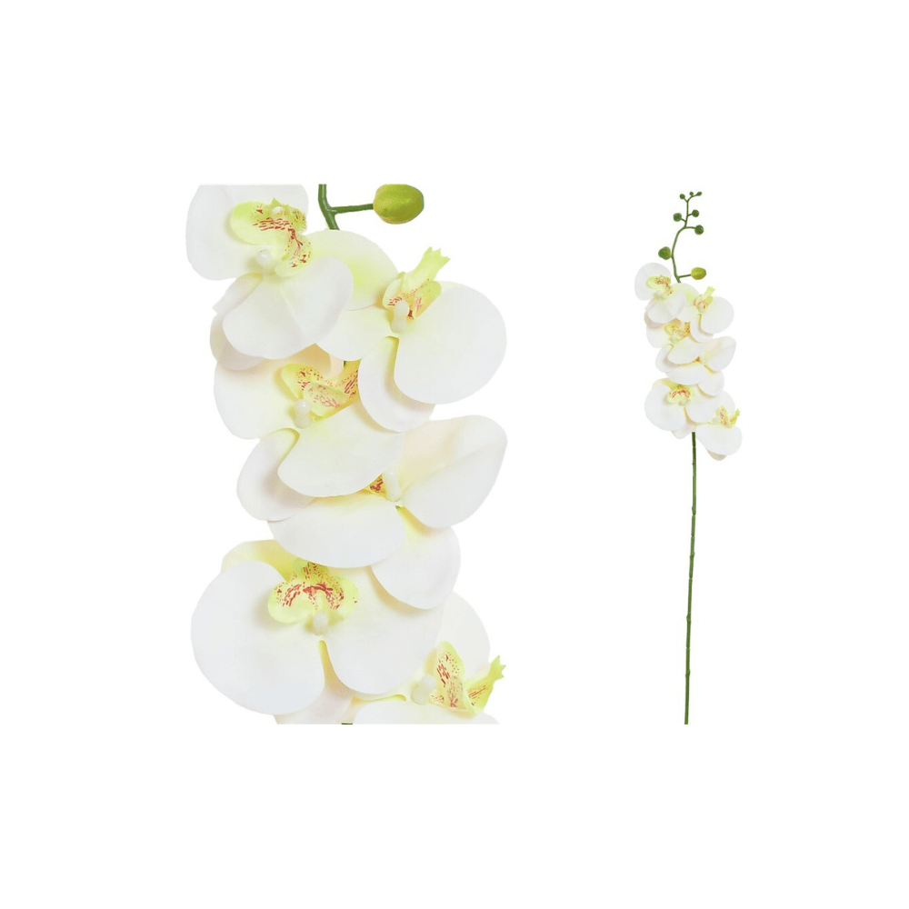 Alpha 55 Ivoire Tige de 6 orchidées Real Touch décorative