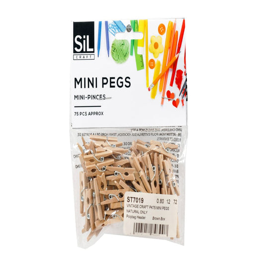 Lot de 75 mini pinces rétro en bois — Alpha 55 Maroc