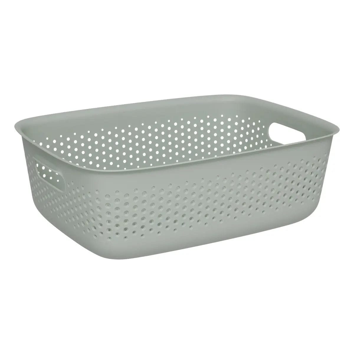 Alpha 55 Vert Panier en plastique
