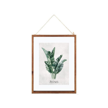 Alpha55 Cadre verre feuille